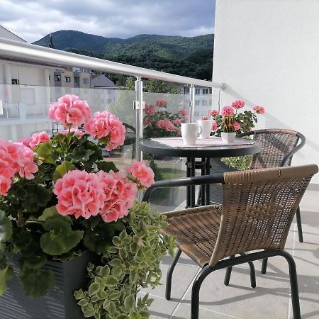 Svjetlanalex 2 Apartment Banja Koviljaca Ngoại thất bức ảnh