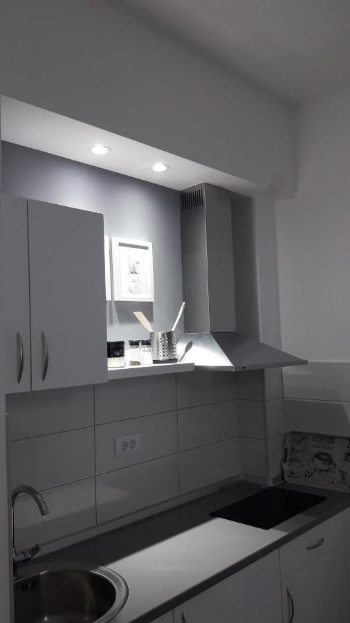 Svjetlanalex 2 Apartment Banja Koviljaca Ngoại thất bức ảnh