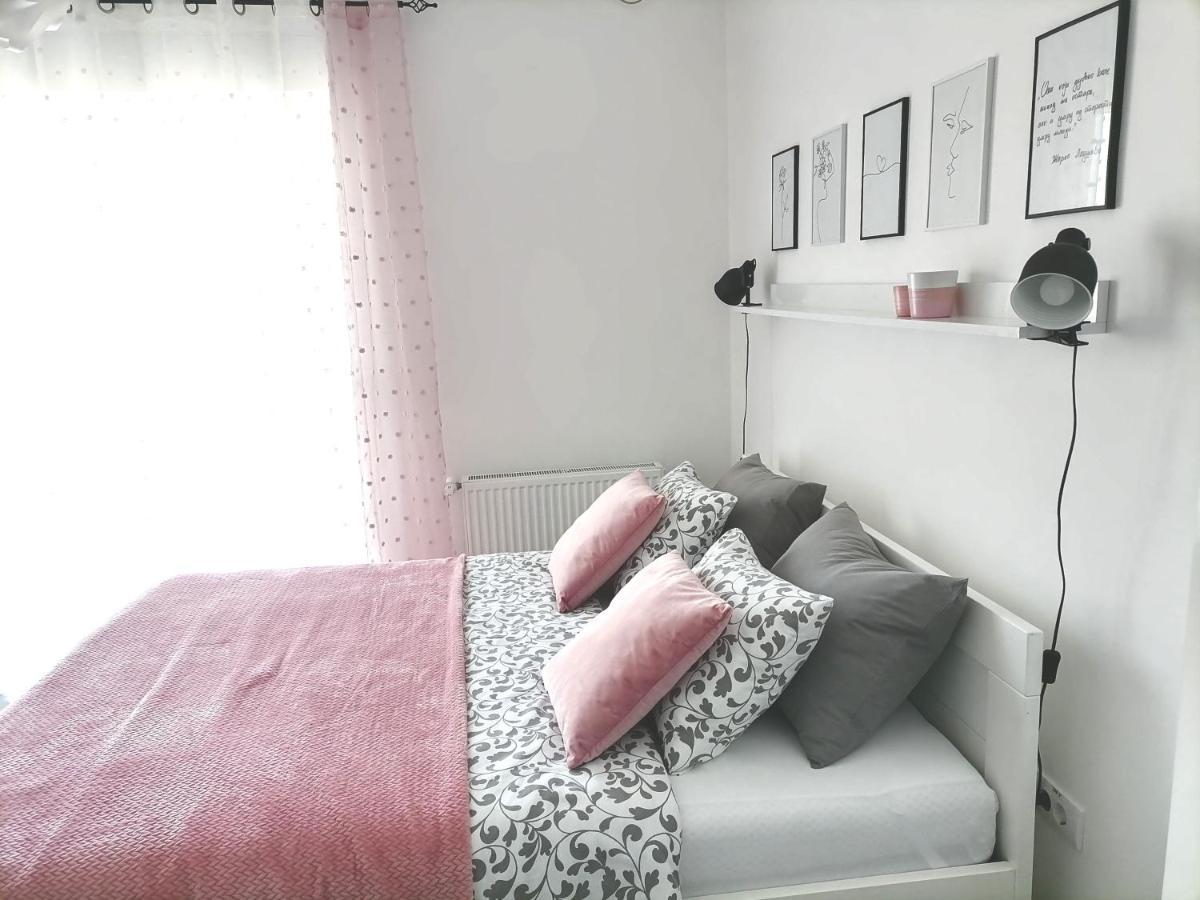 Svjetlanalex 2 Apartment Banja Koviljaca Ngoại thất bức ảnh