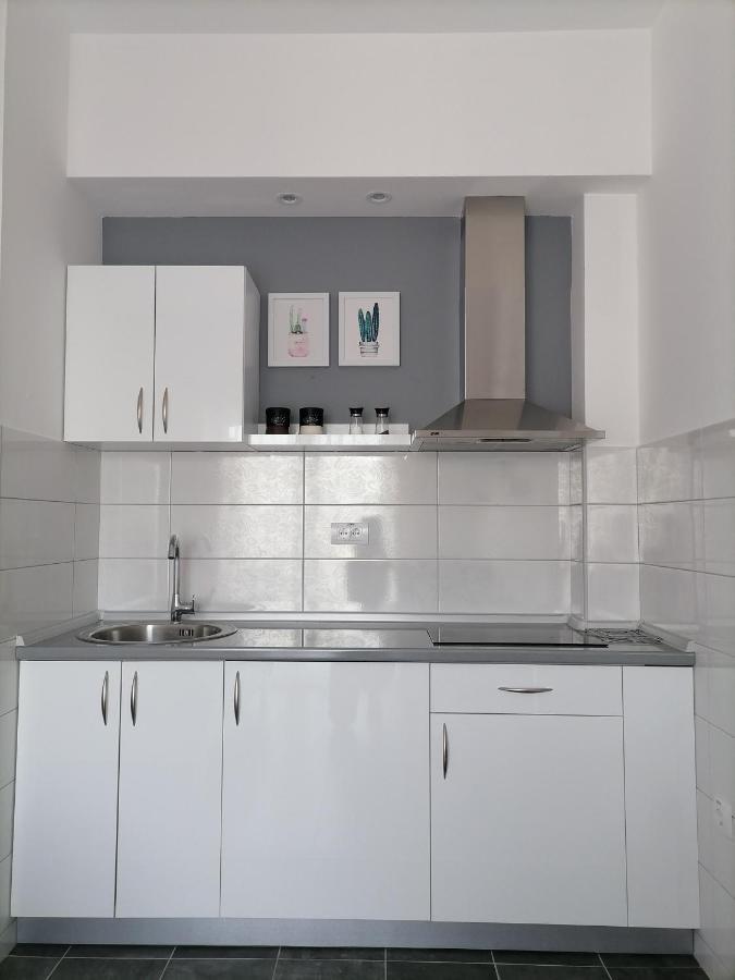 Svjetlanalex 2 Apartment Banja Koviljaca Ngoại thất bức ảnh