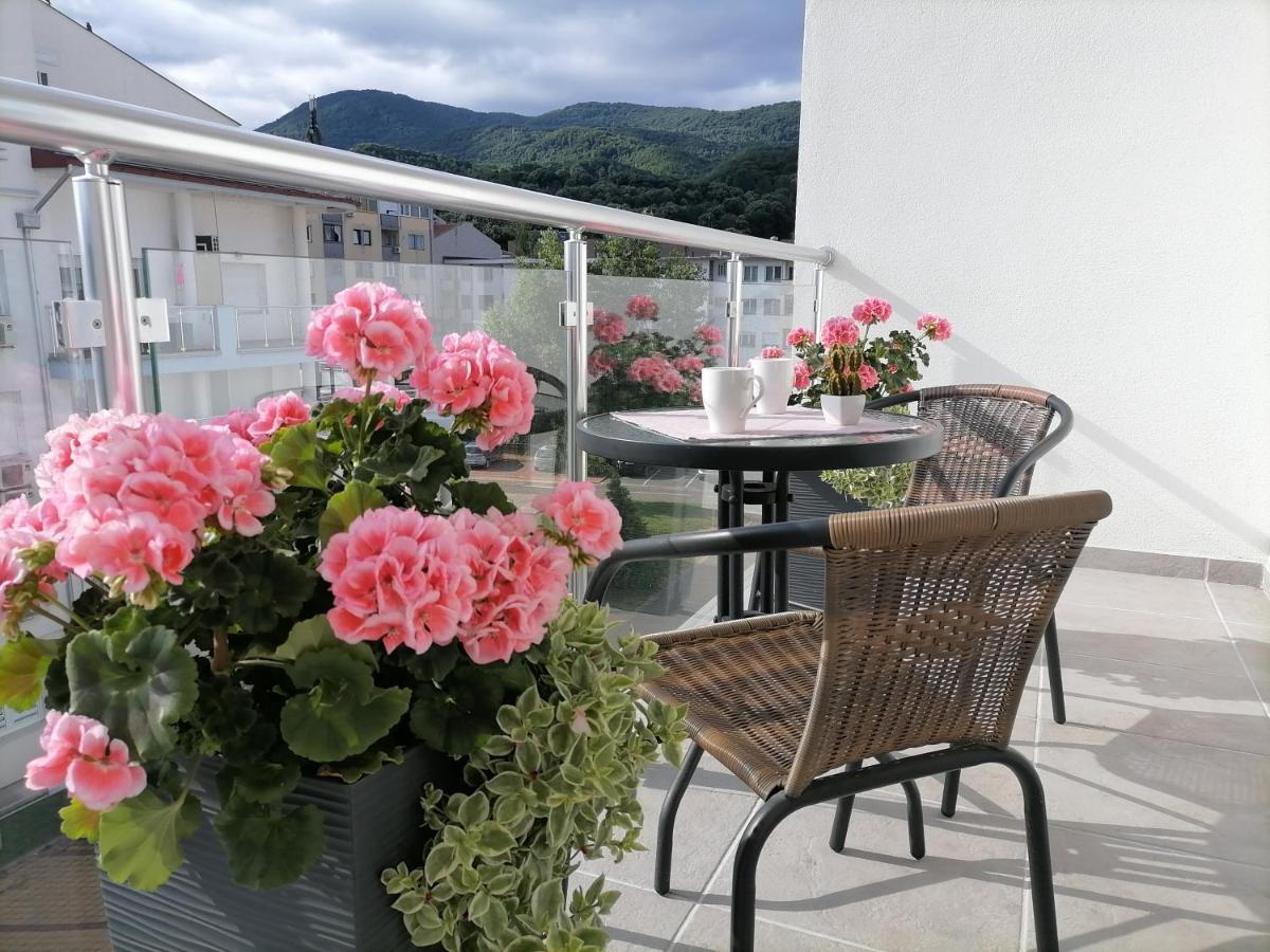 Svjetlanalex 2 Apartment Banja Koviljaca Ngoại thất bức ảnh
